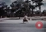Standbild Tier Wirtschaft Marokko Nordafrika, 1944, aus Sekunde 56 historischem Filmmaterial Videoclip 65675053172