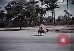 Standbild Tier Wirtschaft Marokko Nordafrika, 1944, aus Sekunde 57 historischem Filmmaterial Videoclip 65675053172