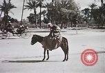 Standbild Tier Wirtschaft Marokko Nordafrika, 1944, aus Sekunde 58 historischem Filmmaterial Videoclip 65675053172