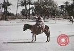 Standbild Tier Wirtschaft Marokko Nordafrika, 1944, aus Sekunde 59 historischem Filmmaterial Videoclip 65675053172