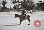 Standbild Tier Wirtschaft Marokko Nordafrika, 1944, aus Sekunde 60 historischem Filmmaterial Videoclip 65675053172
