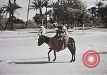 Standbild Tier Wirtschaft Marokko Nordafrika, 1944, aus Sekunde 61 historischem Filmmaterial Videoclip 65675053172