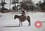 Standbild Tier Wirtschaft Marokko Nordafrika, 1944, aus Sekunde 62 historischem Filmmaterial Videoclip 65675053172