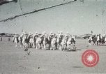Image of Arab horsemen Casablanca Morocco, 1944, second 1 stock footage video 65675053176