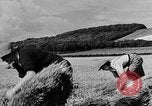 Standbild Frauen Land Armee Vereinigtes Königreich, 1939, aus Sekunde 1 historischem Filmmaterial Videoclip 65675053192