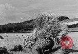 Standbild Frauen Land Armee Vereinigtes Königreich, 1939, aus Sekunde 4 historischem Filmmaterial Videoclip 65675053192