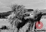 Standbild Frauen Land Armee Vereinigtes Königreich, 1939, aus Sekunde 6 historischem Filmmaterial Videoclip 65675053192