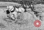 Standbild Frauen Land Armee Vereinigtes Königreich, 1939, aus Sekunde 33 historischem Filmmaterial Videoclip 65675053192