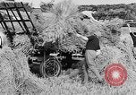 Standbild Frauen Land Armee Vereinigtes Königreich, 1939, aus Sekunde 43 historischem Filmmaterial Videoclip 65675053192