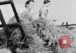 Standbild Frauen Land Armee Vereinigtes Königreich, 1939, aus Sekunde 49 historischem Filmmaterial Videoclip 65675053192