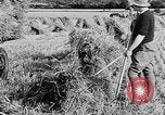 Standbild Frauen Land Armee Vereinigtes Königreich, 1939, aus Sekunde 51 historischem Filmmaterial Videoclip 65675053192