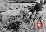 Standbild Frauen Land Armee Vereinigtes Königreich, 1939, aus Sekunde 52 historischem Filmmaterial Videoclip 65675053192