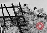 Standbild Frauen Land Armee Vereinigtes Königreich, 1939, aus Sekunde 56 historischem Filmmaterial Videoclip 65675053192