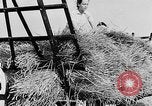 Standbild Frauen Land Armee Vereinigtes Königreich, 1939, aus Sekunde 58 historischem Filmmaterial Videoclip 65675053192