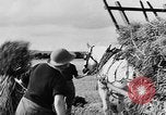 Standbild Frauen Land Armee Vereinigtes Königreich, 1939, aus Sekunde 62 historischem Filmmaterial Videoclip 65675053192