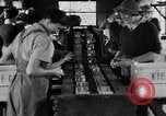 Image of Women Land Army United Kingdom, 1939, second 1 stock footage video 65675053193