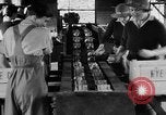 Image of Women Land Army United Kingdom, 1939, second 3 stock footage video 65675053193