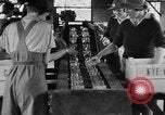 Image of Women Land Army United Kingdom, 1939, second 7 stock footage video 65675053193