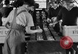 Image of Women Land Army United Kingdom, 1939, second 8 stock footage video 65675053193