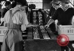 Image of Women Land Army United Kingdom, 1939, second 9 stock footage video 65675053193