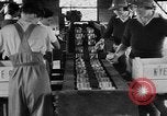 Image of Women Land Army United Kingdom, 1939, second 10 stock footage video 65675053193