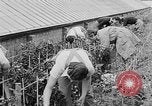 Image of Women Land Army United Kingdom, 1939, second 31 stock footage video 65675053193