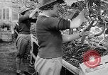 Image of Women Land Army United Kingdom, 1939, second 40 stock footage video 65675053193