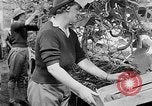 Image of Women Land Army United Kingdom, 1939, second 41 stock footage video 65675053193