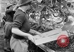 Image of Women Land Army United Kingdom, 1939, second 42 stock footage video 65675053193