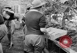 Image of Women Land Army United Kingdom, 1939, second 43 stock footage video 65675053193