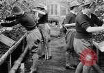 Image of Women Land Army United Kingdom, 1939, second 45 stock footage video 65675053193