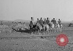 Immagine di Militare americano in missione in Armenia Mardin Turchia, 1919, secondo 42 filmato di repertorio 65675053198