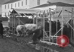 Image of Armenian refugees Constantinople Turkey, 1920, second 29 stock footage video 65675053220