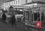 Image of Armenian refugees Constantinople Turkey, 1920, second 30 stock footage video 65675053220