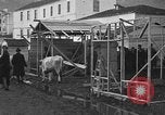 Image of Armenian refugees Constantinople Turkey, 1920, second 31 stock footage video 65675053220