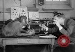 Image of orangutan Philadelphia Pennsylvania USA, 1936, second 10 stock footage video 65675053229