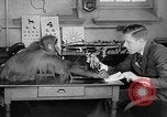 Image of orangutan Philadelphia Pennsylvania USA, 1936, second 22 stock footage video 65675053229
