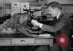 Image of orangutan Philadelphia Pennsylvania USA, 1936, second 27 stock footage video 65675053229