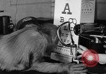 Image of orangutan Philadelphia Pennsylvania USA, 1936, second 35 stock footage video 65675053229