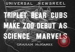Image of triplet bear cubs Washington DC USA, 1936, second 1 stock footage video 65675053232