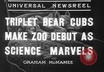 Image of triplet bear cubs Washington DC USA, 1936, second 7 stock footage video 65675053232