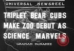 Image of triplet bear cubs Washington DC USA, 1936, second 8 stock footage video 65675053232
