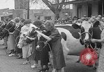 Standbild Kühe Sabetha Kansas USA, 1936, aus Sekunde 13 historischem Filmmaterial Videoclip 65675053235