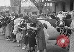 Standbild Kühe Sabetha Kansas USA, 1936, aus Sekunde 14 historischem Filmmaterial Videoclip 65675053235