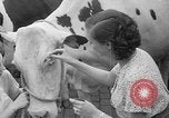 Standbild Kühe Sabetha Kansas USA, 1936, aus Sekunde 15 historischem Filmmaterial Videoclip 65675053235