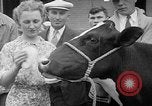 Standbild Kühe Sabetha Kansas USA, 1936, aus Sekunde 20 historischem Filmmaterial Videoclip 65675053235