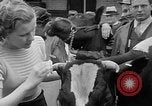 Standbild Kühe Sabetha Kansas USA, 1936, aus Sekunde 23 historischem Filmmaterial Videoclip 65675053235