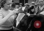 Standbild Kühe Sabetha Kansas USA, 1936, aus Sekunde 24 historischem Filmmaterial Videoclip 65675053235