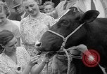 Standbild Kühe Sabetha Kansas USA, 1936, aus Sekunde 27 historischem Filmmaterial Videoclip 65675053235