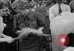 Standbild Kühe Sabetha Kansas USA, 1936, aus Sekunde 29 historischem Filmmaterial Videoclip 65675053235